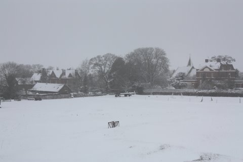 IMG_0124